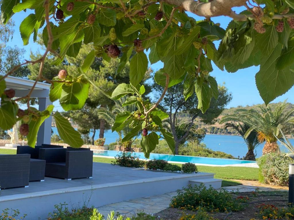 Villa Anthia Porto Heli Extérieur photo