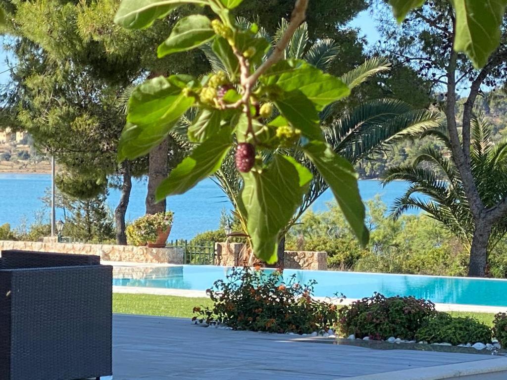 Villa Anthia Porto Heli Extérieur photo